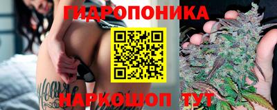 хмурый Малоярославец