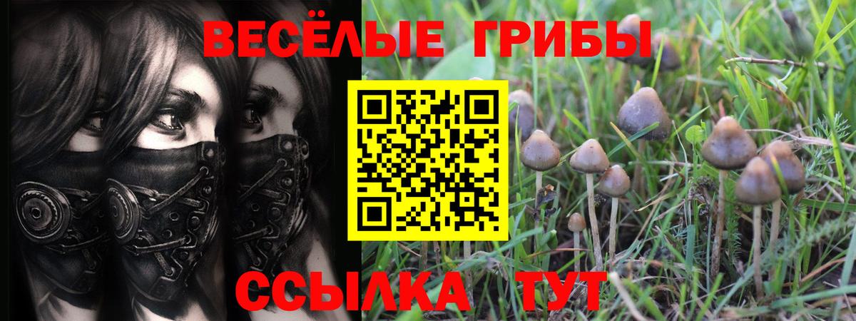 закладки  Вход с VPN  Тавда  Галлюциногенные грибы Psilocybe  Галлюциногенные грибы GOLDEN TEACHER 