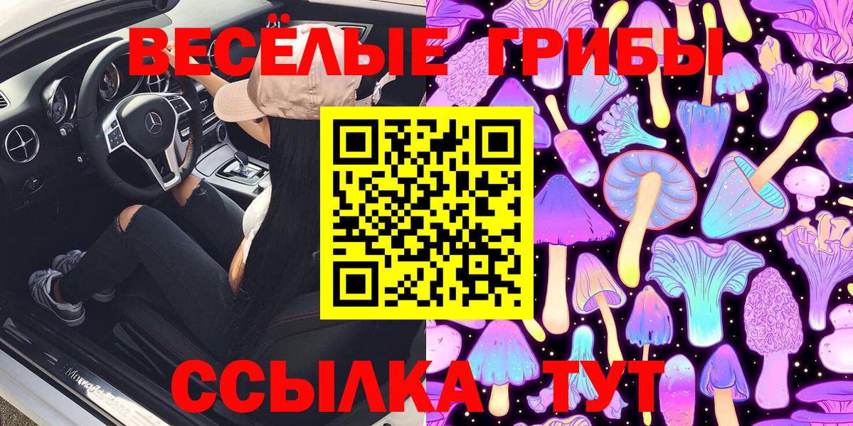 Псилоцибиновые грибы Psilocybe Тавда